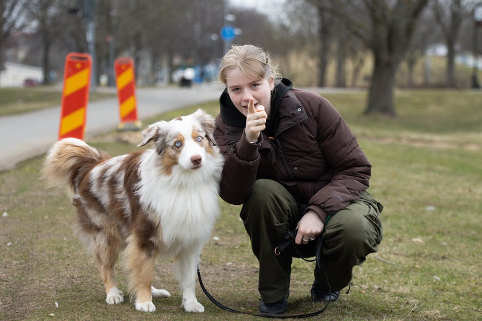 click-sit-stay-online-dog-training-success-cover