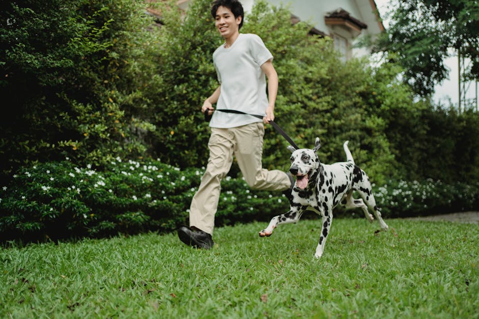 dog-dna-kits-beyond-breed-to-comprehensive-insights-cover