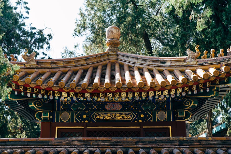 Dynastic China Chinese History illustration content