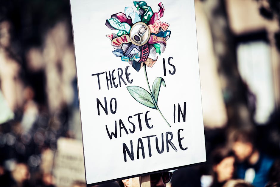 ecotourism sustainability illustration content