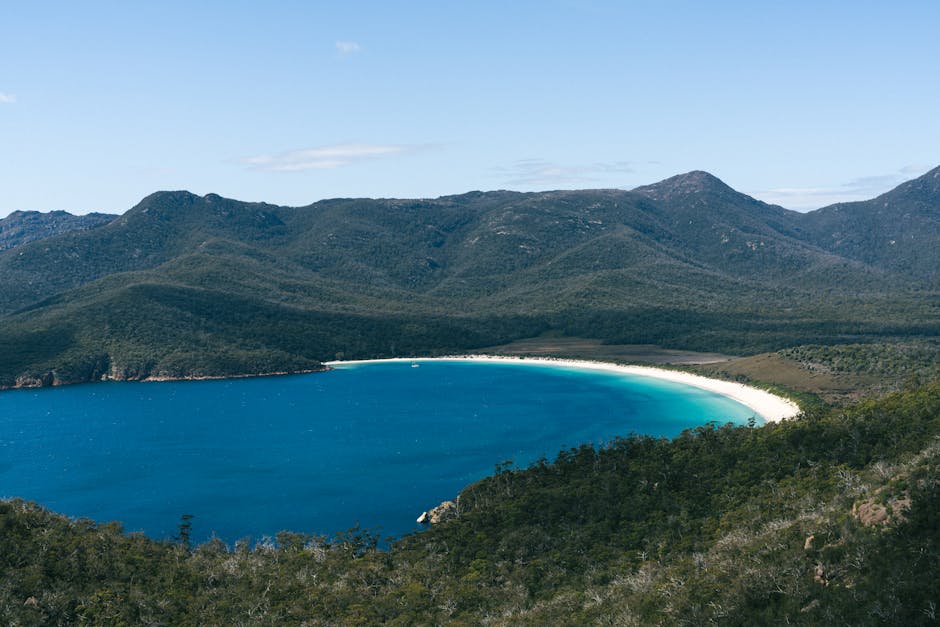 Ecotourism Regulation: Is Government Intervention Needed?