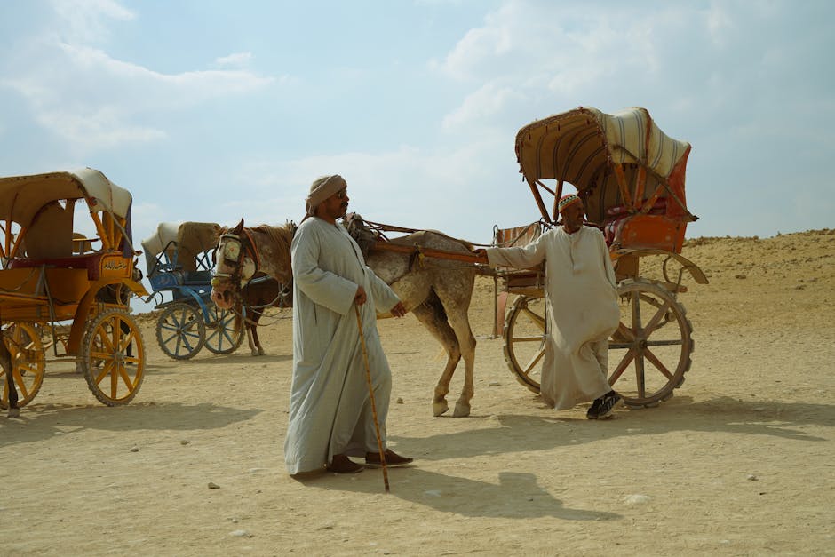 Egypt's Enduring Legacy: Unearthing the Secrets of the Pharaohs Cover Image