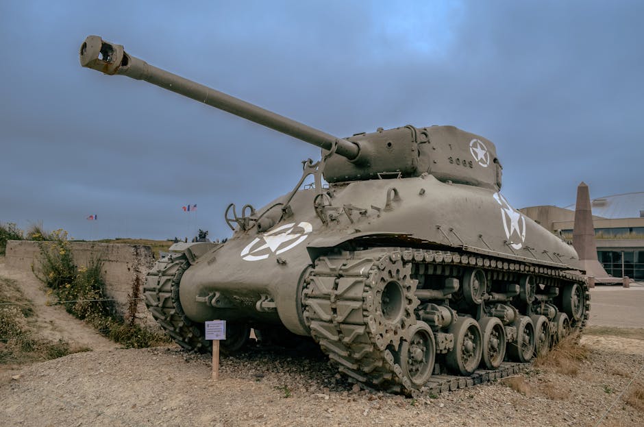 Guns, Medals, and More: Identifying and Authenticating WWII Collectibles Cover Image