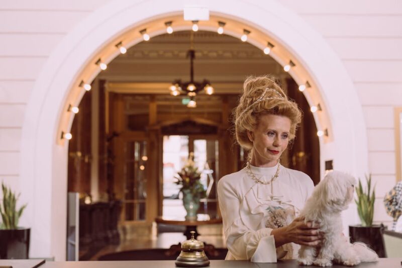 Luxury Dog Boarding: Canine Concierge Options