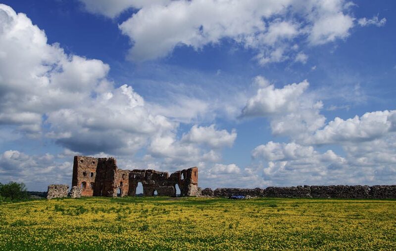 The Cradle of Civilization: Exploring the Innovations of the Ancient World