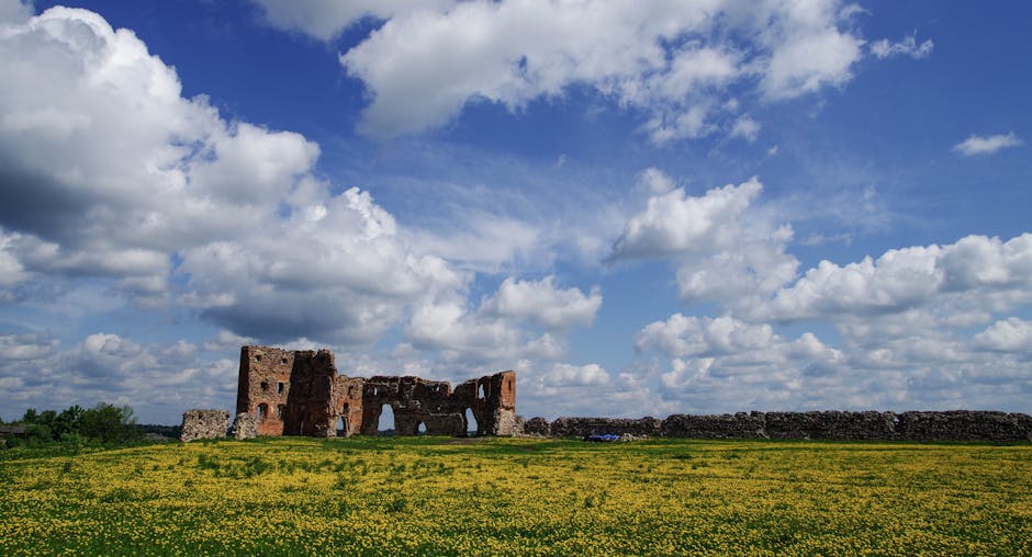 The Cradle of Civilization: Exploring the Innovations of the Ancient World Cover Image