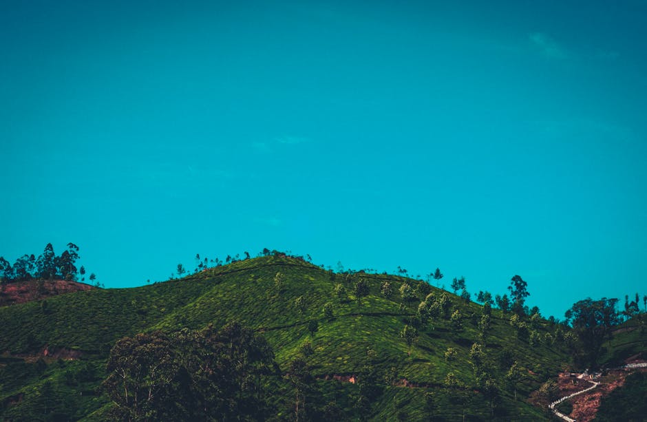 Unique Off-Grid Travel: An Unforgettable Experience